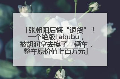 张朝阳后悔“退货”！一个绝版Labubu，被胡润拿去换了一辆车，整车原价值上百万元