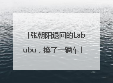 张朝阳退回的Labubu，换了一辆车