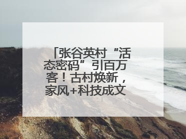 张谷英村“活态密码”引百万客！古村焕新，家风+科技成文旅融合新爆点