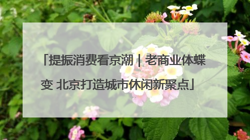 提振消费看京潮｜老商业体蝶变 北京打造城市休闲新聚点