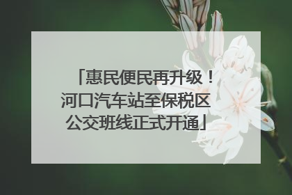 惠民便民再升级！河口汽车站至保税区公交班线正式开通