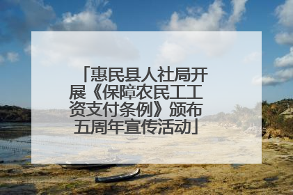 惠民县人社局开展《保障农民工工资支付条例》颁布五周年宣传活动