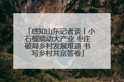 感知山东记者谈丨小石榴撬动大产业 枣庄破局乡村发展难题 书写乡村共富答卷