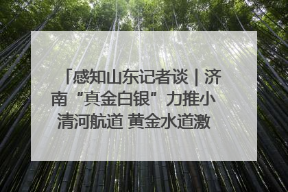 感知山东记者谈｜济南“真金白银”力推小清河航道 黄金水道激活区域经济新动能