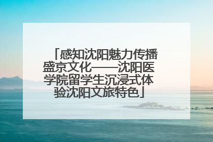 感知沈阳魅力传播盛京文化——沈阳医学院留学生沉浸式体验沈阳文旅特色