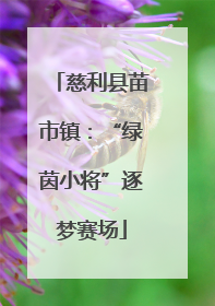 慈利县苗市镇：“绿茵小将”逐梦赛场