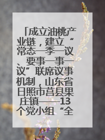 成立油桃产业链，建立“常态一季一议、要事一事一议”联席议事机制，山东省日照市莒县果庄镇——13个党小组“全周期”育果