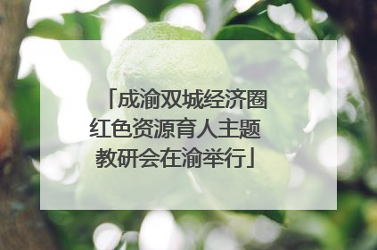 成渝双城经济圈红色资源育人主题教研会在渝举行