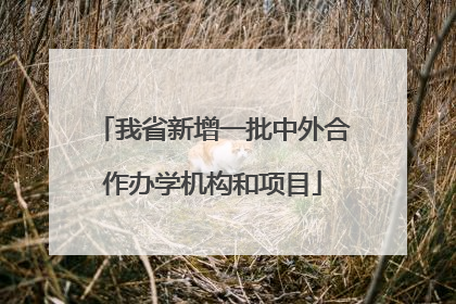 我省新增一批中外合作办学机构和项目