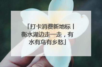打卡消费新地标丨衡水湖边走一走，有水有鸟有乡愁