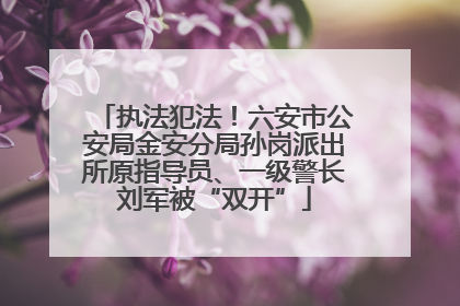 执法犯法！六安市公安局金安分局孙岗派出所原指导员、一级警长刘军被“双开”