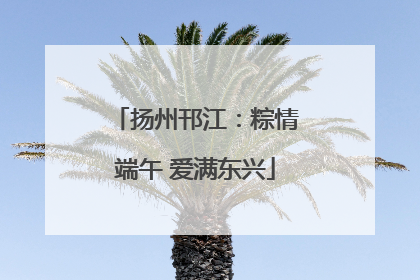 扬州邗江：粽情端午 爱满东兴