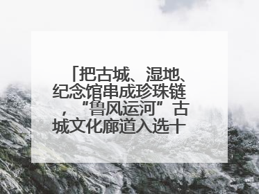 把古城、湿地、纪念馆串成珍珠链，“鲁风运河”古城文化廊道入选十大最美农村路
