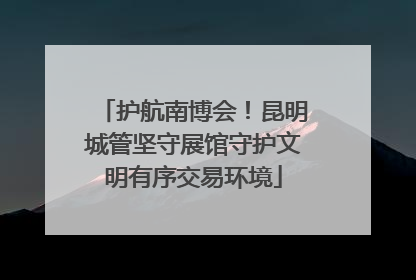 护航南博会！昆明城管坚守展馆守护文明有序交易环境