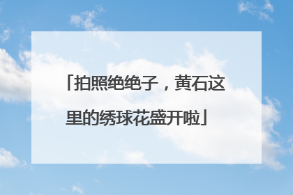 拍照绝绝子，黄石这里的绣球花盛开啦