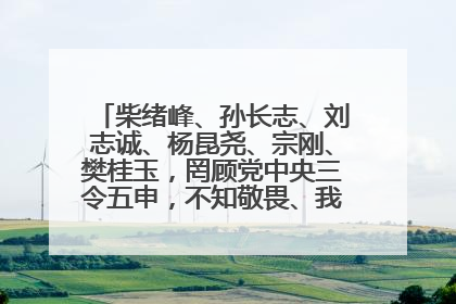柴绪峰、孙长志、刘志诚、杨昆尧、宗刚、樊桂玉，罔顾党中央三令五申，不知敬畏、我行我素、肆意妄为！