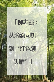 柳志强：从滴滴司机到“红色领头雁”