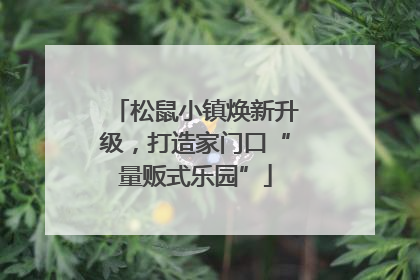 松鼠小镇焕新升级，打造家门口“量贩式乐园”