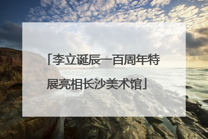 李立诞辰一百周年特展亮相长沙美术馆