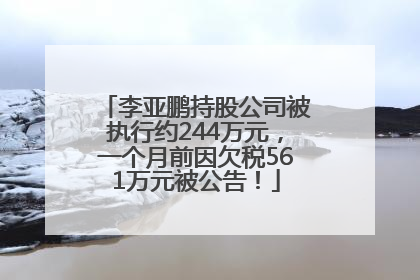 李亚鹏持股公司被执行约244万元，一个月前因欠税561万元被公告！
