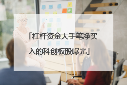 杠杆资金大手笔净买入的科创板股曝光