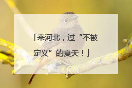 来河北，过“不被定义”的夏天！