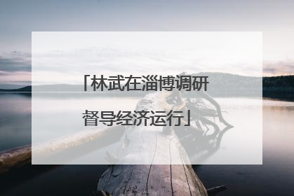 林武在淄博调研督导经济运行