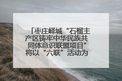 枣庄峄城“石榴主产区铸牢中华民族共同体意识联盟项目”将以“六联”活动为抓手深化品牌建设