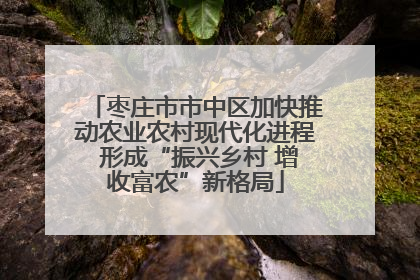 枣庄市市中区加快推动农业农村现代化进程 形成“振兴乡村 增收富农”新格局