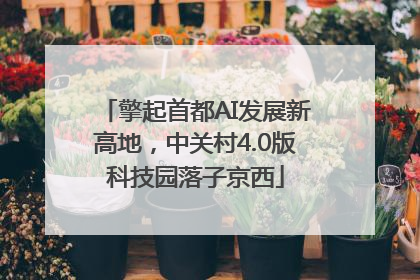 擎起首都AI发展新高地，中关村4.0版科技园落子京西