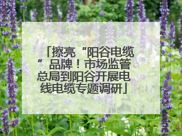 擦亮“阳谷电缆”品牌！市场监管总局到阳谷开展电线电缆专题调研