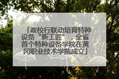 政校行联动培育特种设备“新工匠”，全省首个特种设备学院在黄冈职业技术学院成立