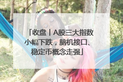 收盘丨A股三大指数小幅下跌，脑机接口、稳定币概念走强
