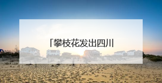 攀枝花发出四川首张“户籍人口直系亲属关系谱”