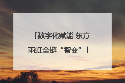 数字化赋能 东方雨虹全链“智变”