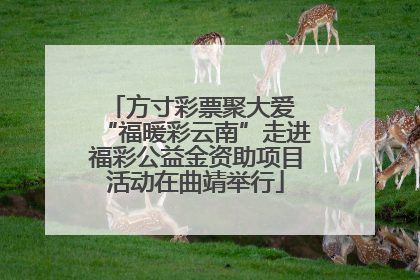 方寸彩票聚大爱 “福暖彩云南”走进福彩公益金资助项目活动在曲靖举行