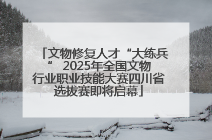文物修复人才“大练兵” 2025年全国文物行业职业技能大赛四川省选拔赛即将启幕