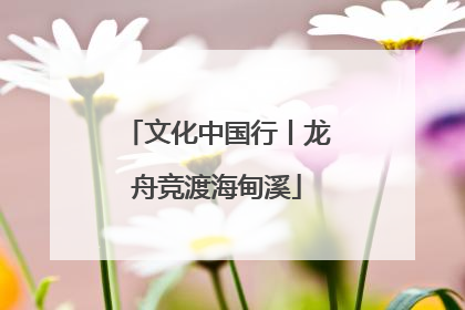 文化中国行丨龙舟竞渡海甸溪