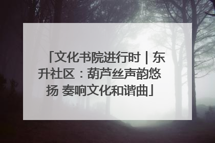 文化书院进行时｜东升社区：葫芦丝声韵悠扬 奏响文化和谐曲
