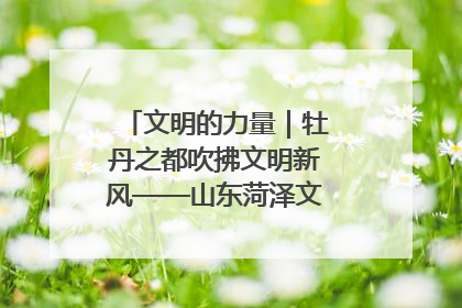 文明的力量｜牡丹之都吹拂文明新风——山东菏泽文明创建一线见闻