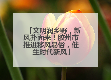 文明润乡野，新风扑面来！胶州市推进移风易俗，催生时代新风