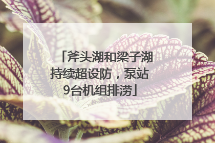斧头湖和梁子湖持续超设防，泵站9台机组排涝