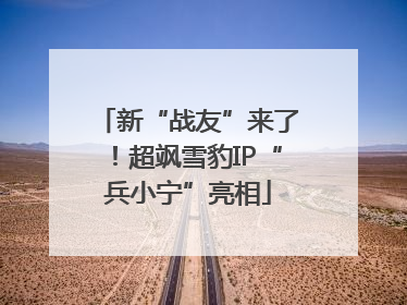 新“战友”来了！超飒雪豹IP“兵小宁”亮相