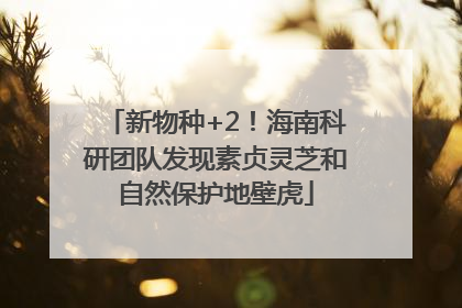 新物种+2！海南科研团队发现素贞灵芝和自然保护地壁虎