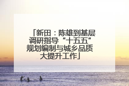 新田：陈雄到基层调研指导“十五五”规划编制与城乡品质大提升工作