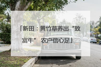 新田：黄竹草养出“致富牛” 农户信心足