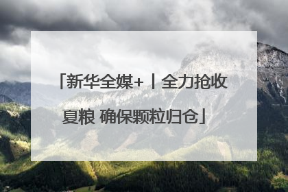 新华全媒+丨全力抢收夏粮 确保颗粒归仓