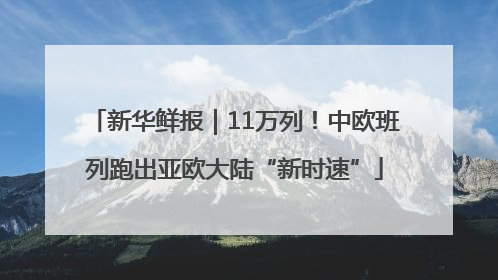 新华鲜报｜11万列！中欧班列跑出亚欧大陆“新时速”