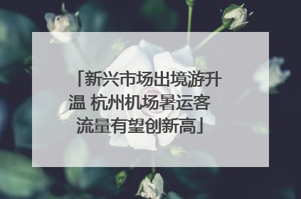 新兴市场出境游升温 杭州机场暑运客流量有望创新高