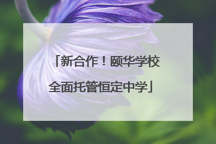 新合作！颐华学校全面托管恒定中学